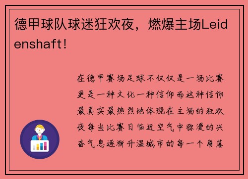 德甲球队球迷狂欢夜，燃爆主场Leidenshaft！